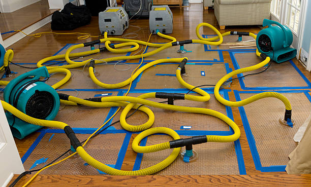 Professional Flood Damage Restoration technician working in Williamsport, TN